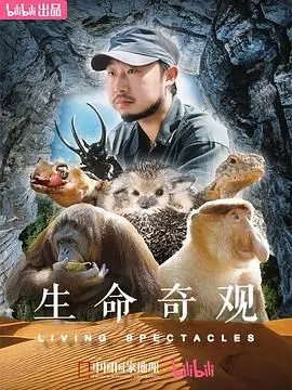 《生命奇观》：震撼心灵的自然史诗，探索地球生命的无限可能