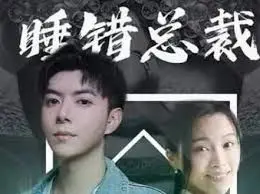 《睡错总裁狂宠妻》：霸道总裁的甜蜜陷阱，先睡后爱的爆笑罗曼史！